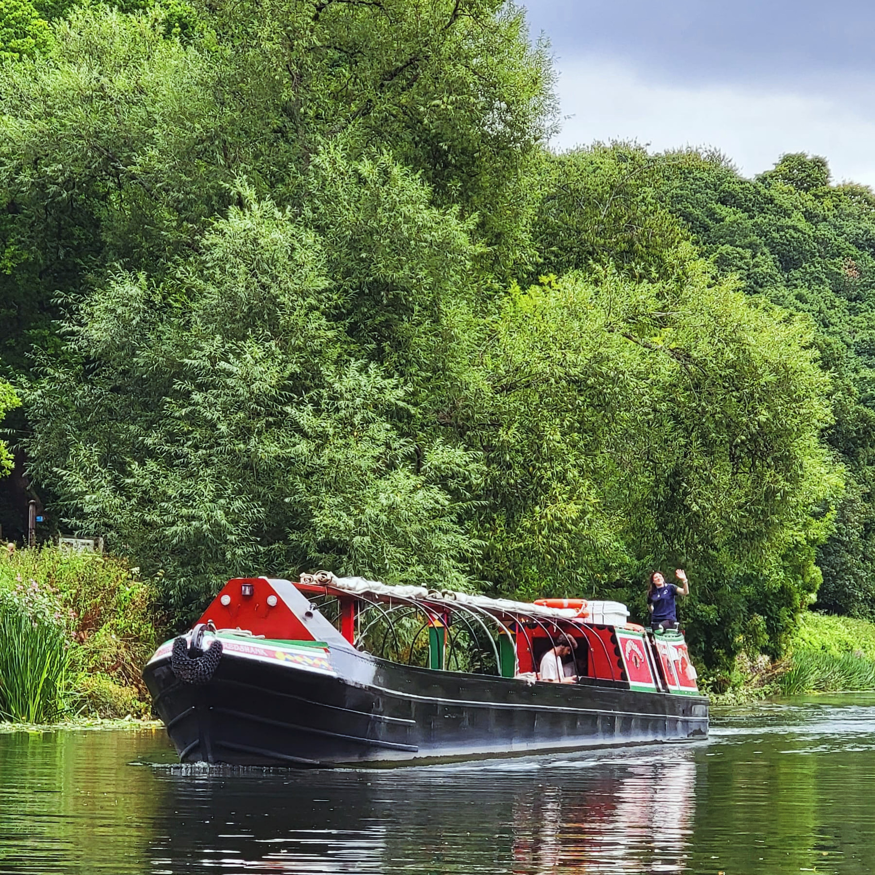 Redshank on the Avon