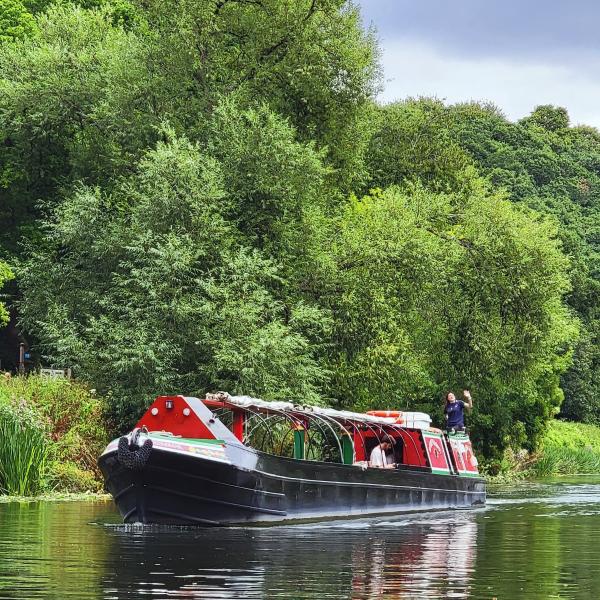 Redshank on the Avon