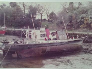 General Jenkins - possibly in Glengarriff? (c) Unknown