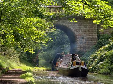Saturn and Emu by Kev Maslin