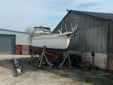 Nepenthe on her craddle in Suffolk, 2026