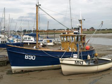 Golden Sceptre, port side view, on shore