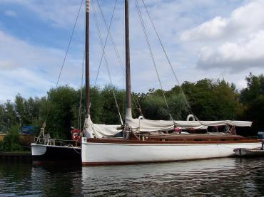 Olive - port side view