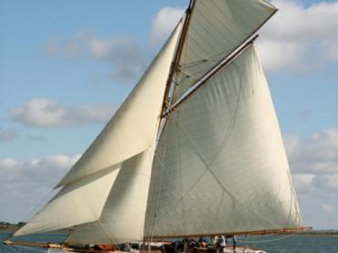 HARDY - under sail