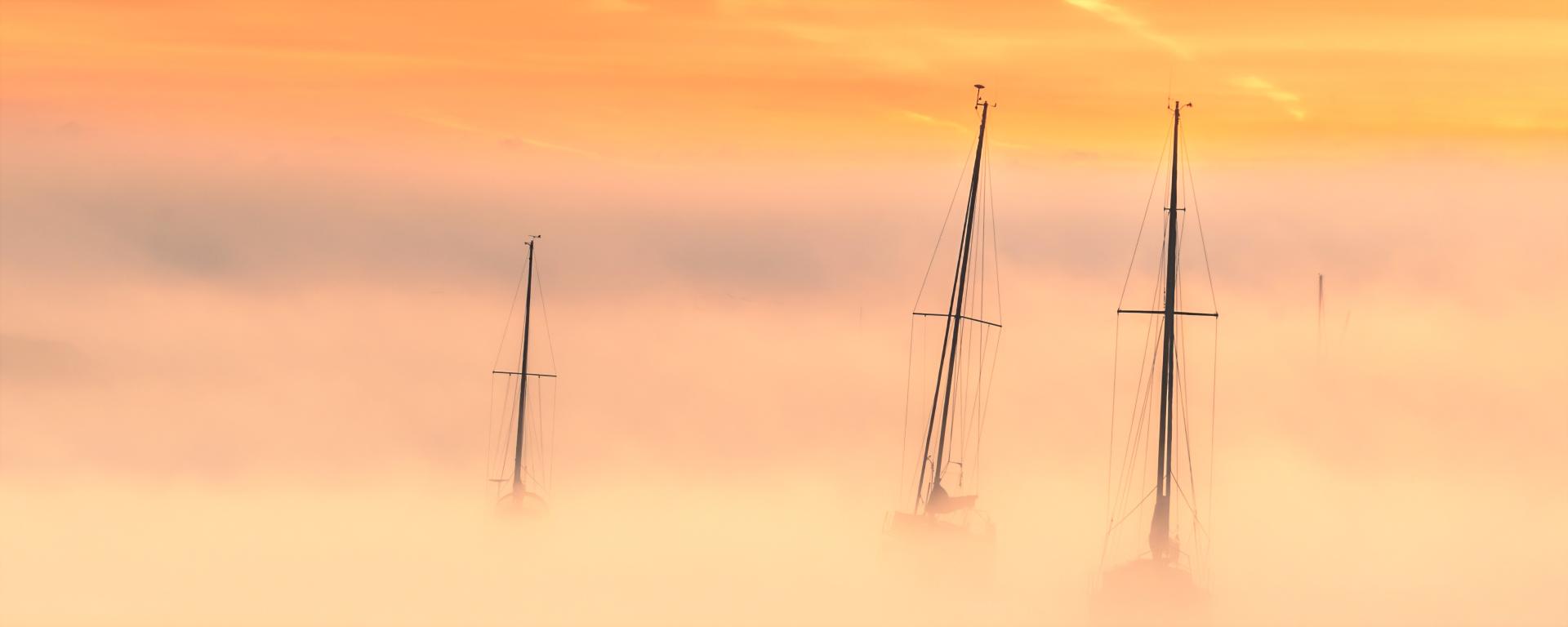 Masts in the Mist by James Crisp