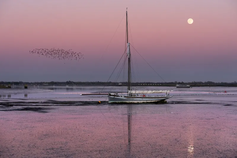 Pink and purple hue photo showing mostly water and sky, with smack CK224 in port beam view sitting on the mud. Bright full moon is in the upper left corner, and there is a small murmuration of starlings in the centre left of the image.
