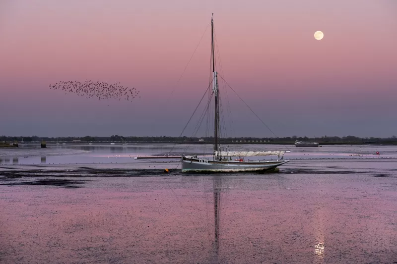 Pink and purple hue photo showing mostly water and sky, with smack CK224 in port beam view sitting on the mud. Bright full moon is in the upper left corner, and there is a small murmuration of starlings in the centre left of the image.