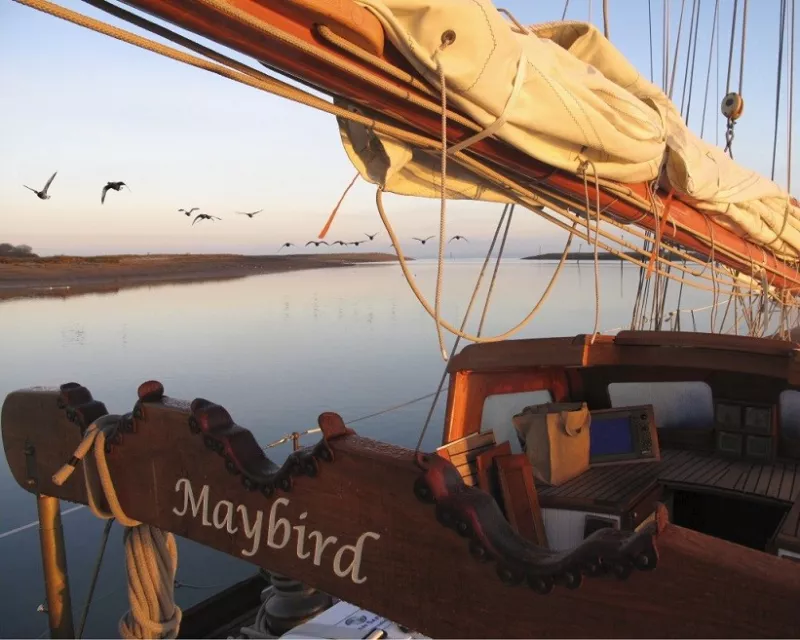 Maybird, early morning Newtown Creek, Mike Garlick