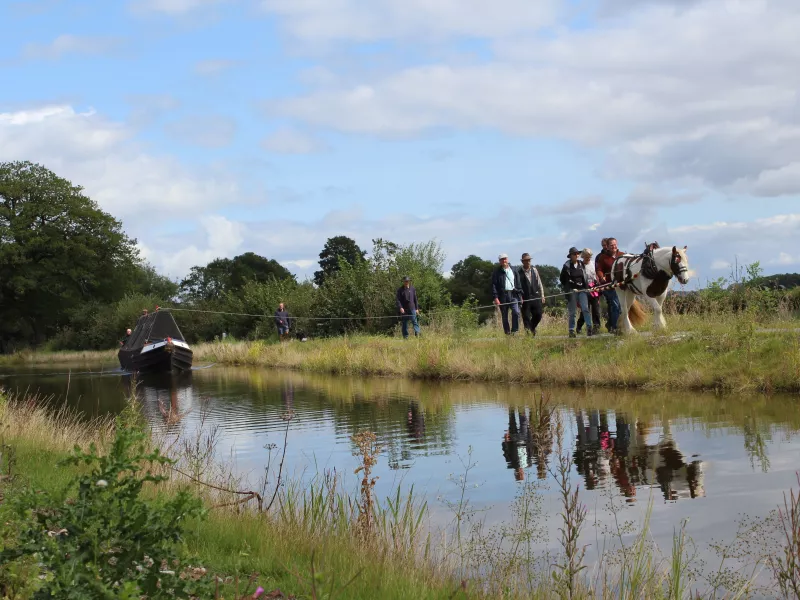 A grand day out by Teresa Fuller
