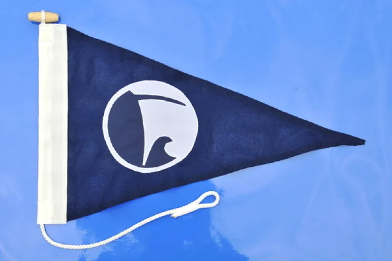 NHS-UK pennant