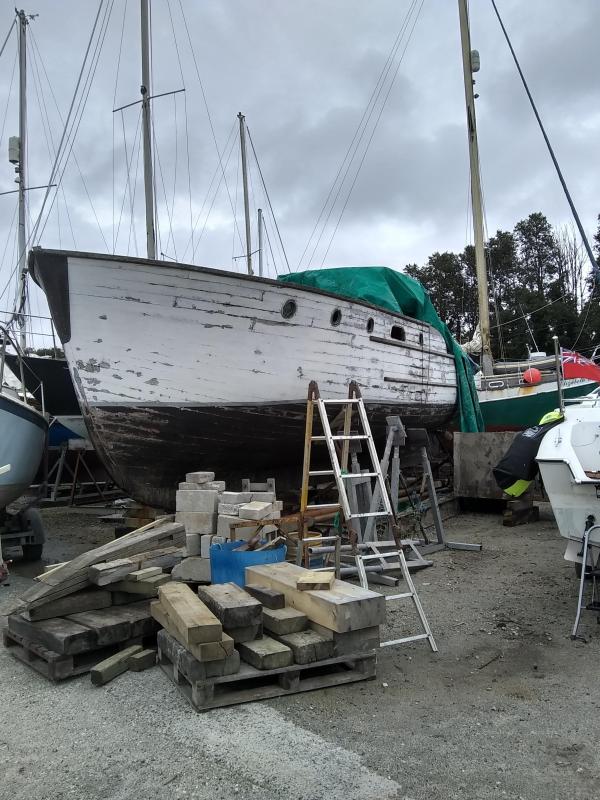 Token exterior August 2020