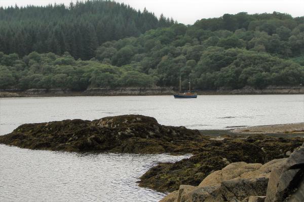 Moored on a sunny day