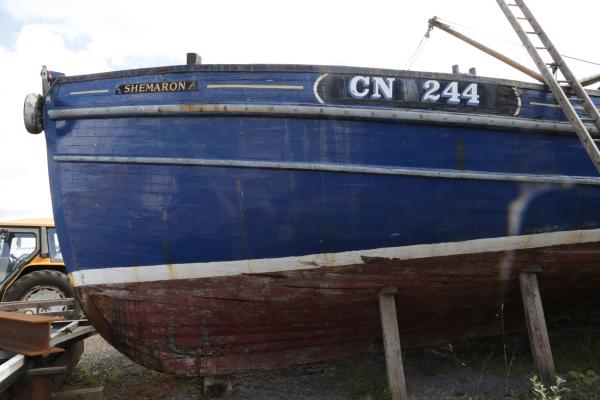 Shemaron August 2022