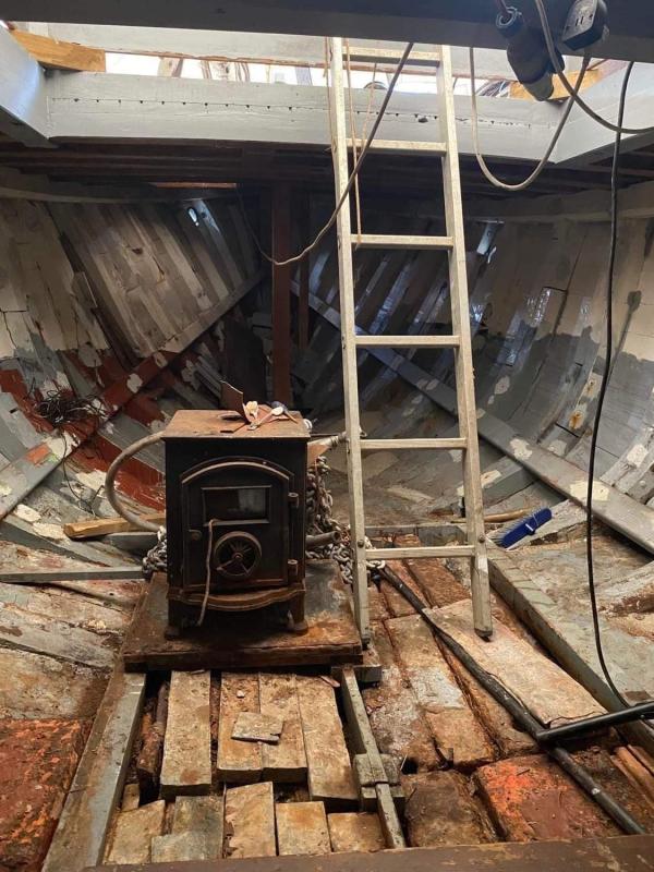 Daisy for sale January 2024 by Mark Whittaker