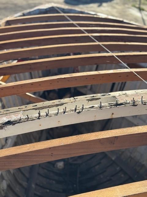 Gerfalcon refit 2024-5