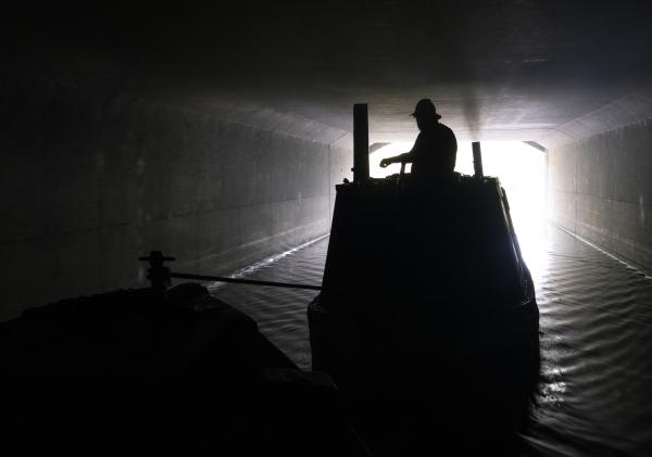 Beneath Asda Superstore Forget me not and Hazel, photo comp entry 2025