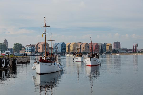 Brown Owl in Ramsgate, photo comp entry 2025
