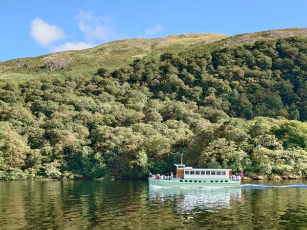 Fleeting encounters, photo comp entry 2025