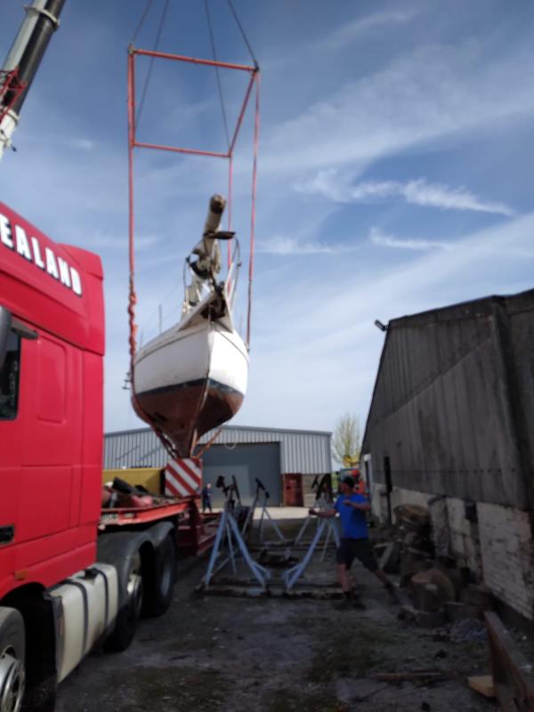 Nepenthe being moved into her craddle, 2026