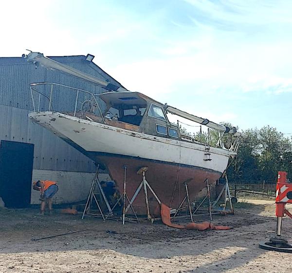 Nepenthe on her craddle in Suffolk, 2026