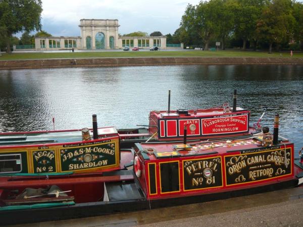 Petrel on the canal