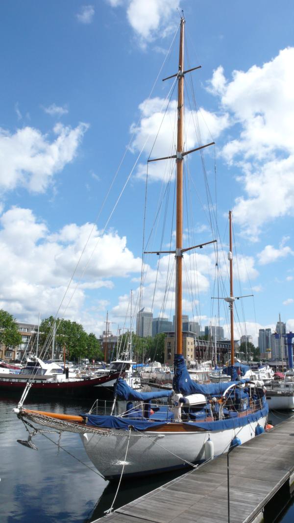 Blue Trout at South Dock in Surrey Quays