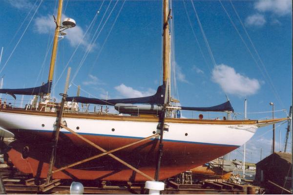 Blue Trout out of the water - starboard side