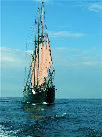 Kathleen & May - bow view