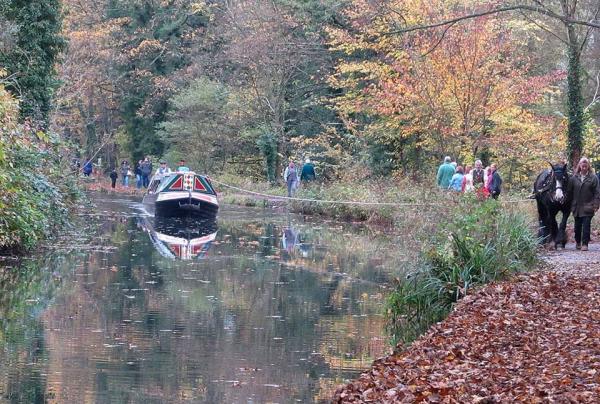 Birdswood in operation under horse power and motor