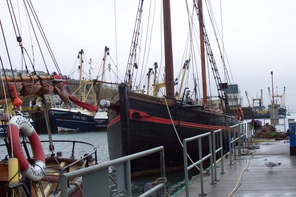 Leader alongside - bow view