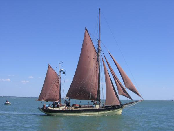 Speedwell in the Solent