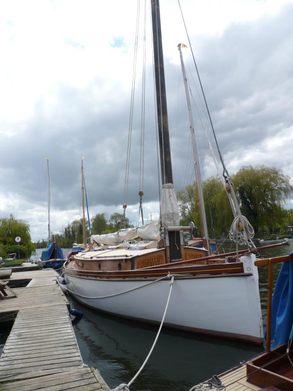 White Moth in Horning
