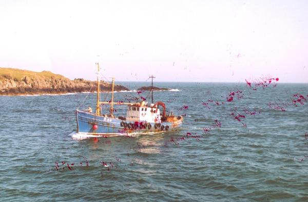 Mayflower of Portavogie - port side view