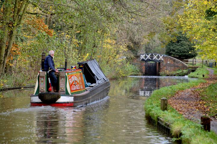 Roach on the Southern Stratford Canal - 2024 Photo Comp entry