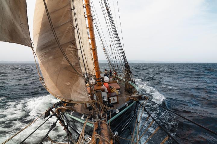 Photo Comp 2024 - Sailing around Arran (Bessie Ellen) 