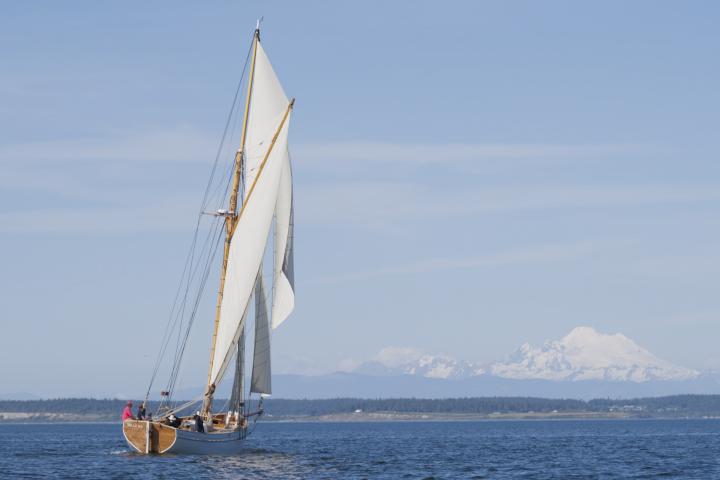 Tally Ho sailing after restoration 2024