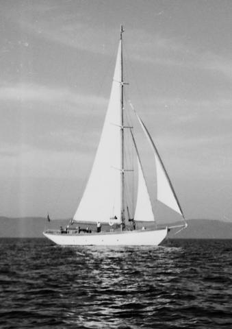 Blue Trout - taken in Southampton with old cotton sails, c 1950