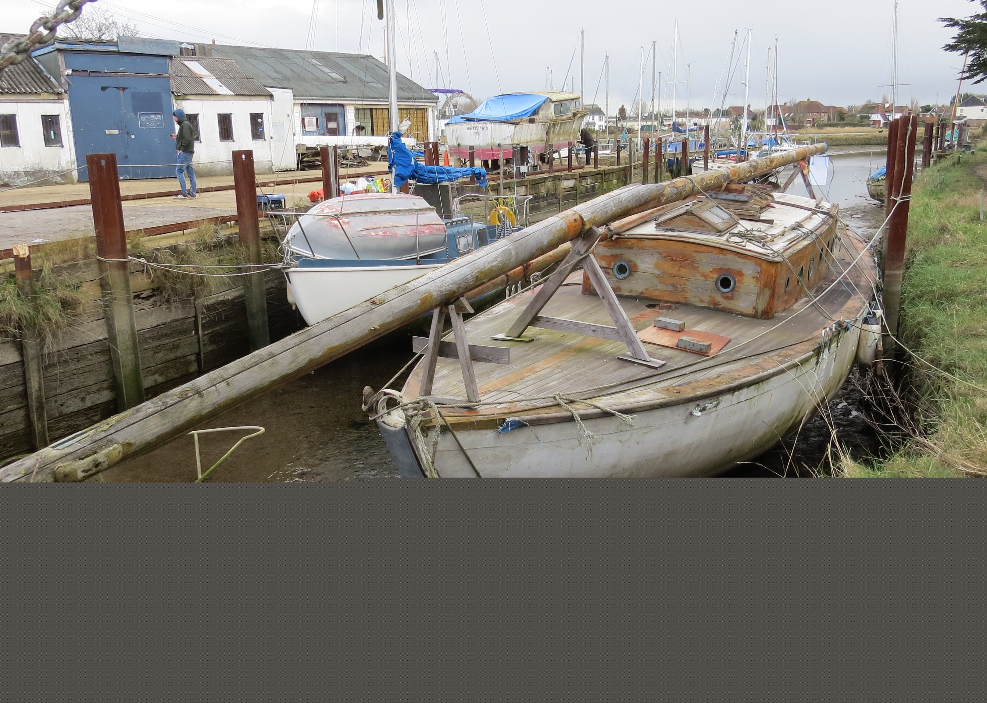 Freya at Dolphin Quay in 2016