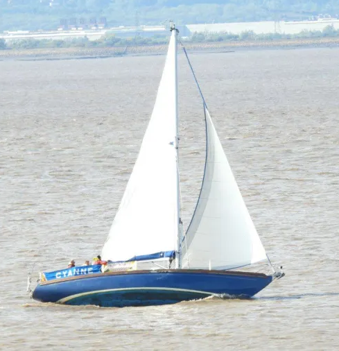 Cyanne sailing