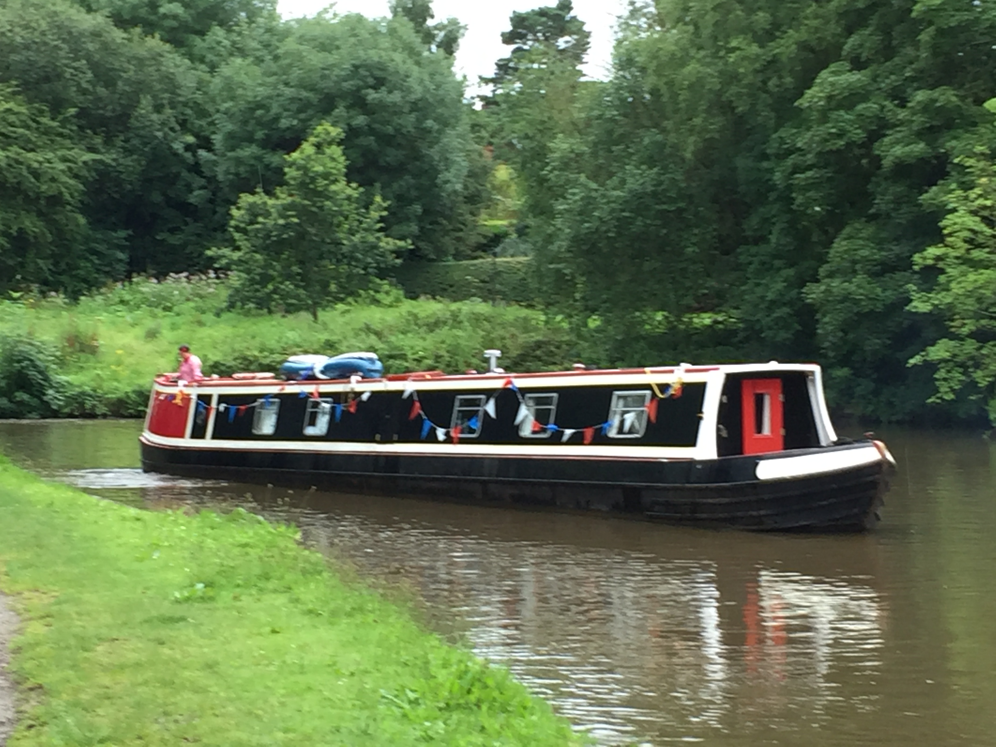 Redshank on the canal